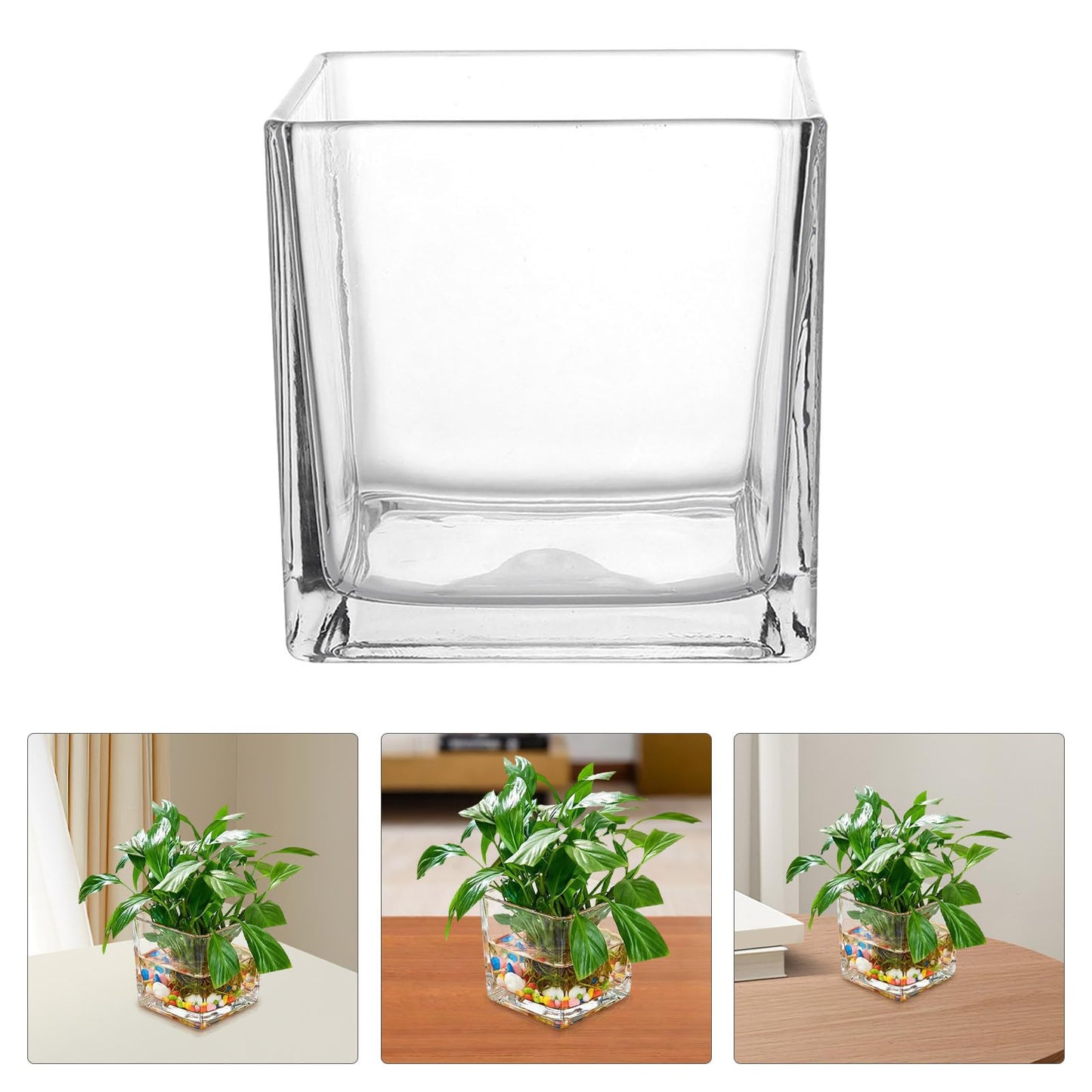 INOOMP Square Glass Hydroponic Vase 10x10cm Thick Cube Flower Vase for Home Desk Decor, Glass Plant Terrarium Bottle for Modern Indoor Gardening