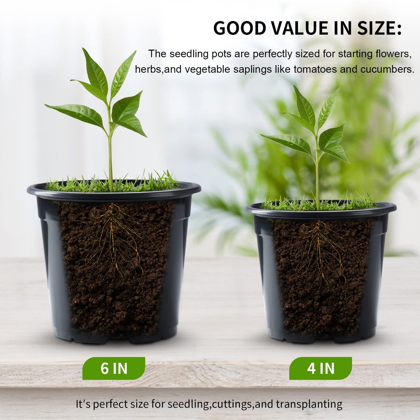 50Pcs Nursery Pots Variety Pack Plastic Pots for Plants,6 inch Seedling Pots with Drainage Holes Indoor Outdoor Flower Pots for Succulent Vegetable Herb