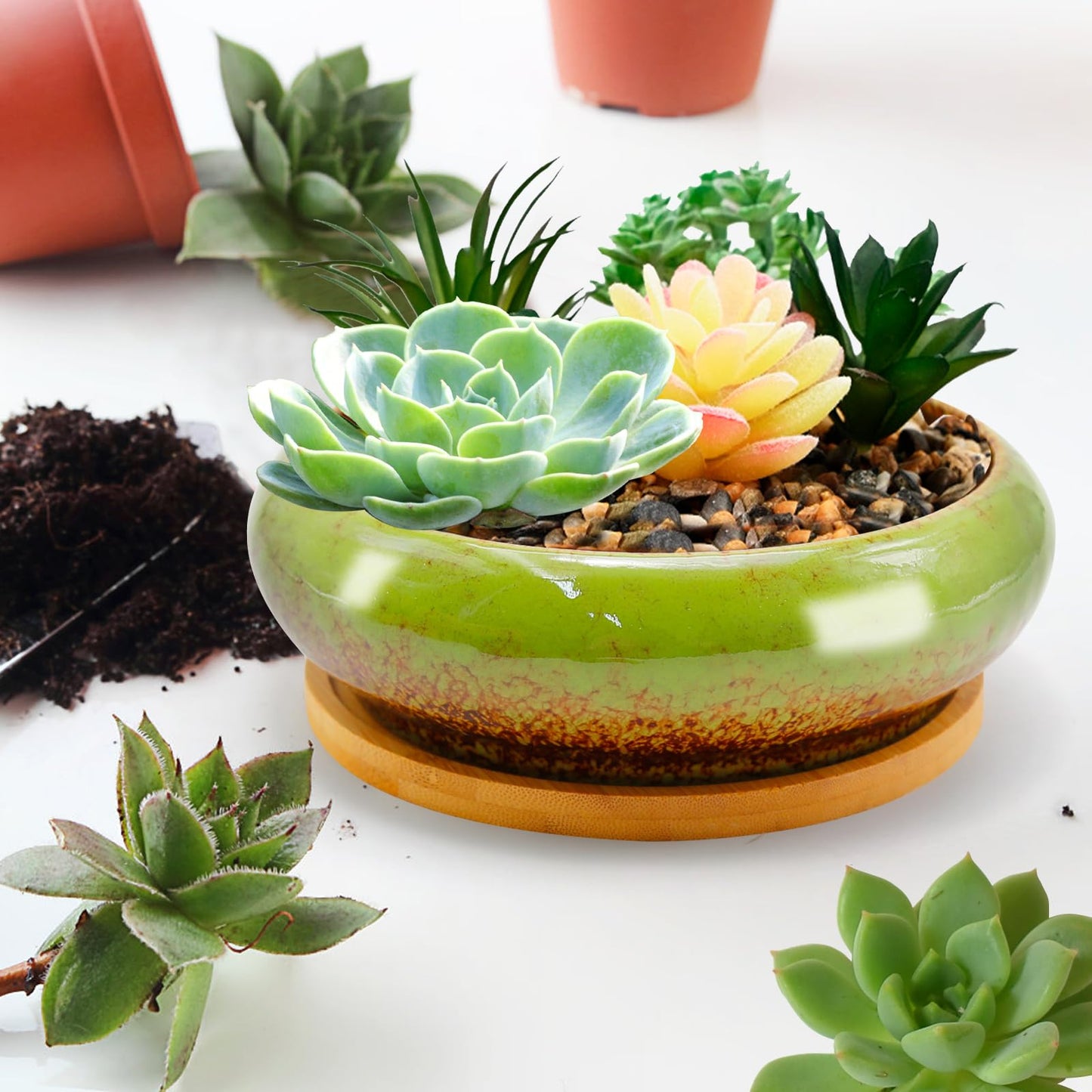 LIDSCURA 7.4 inch Ceramic Bonsai Pots with Trays Shallow Planters, Succulent Planters with Drainage Hole, Round Large Shallow Pots, Bonsai Pots Garden Decorative Cactus Stand Flower Container (Green)