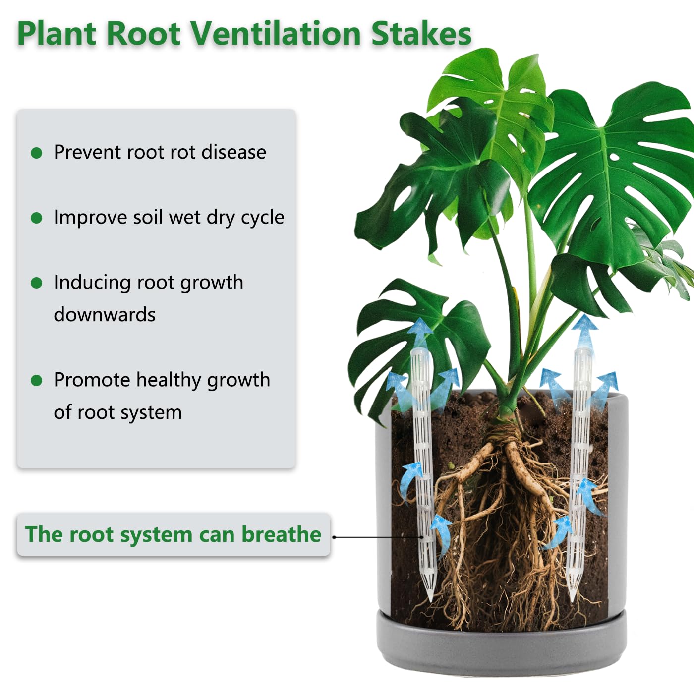 Belit 16 Pcs Plant Root Ventilation Stakes, Breathable Stake Beneficial for Root Respiration, Potted Plants Prevent Root Rot