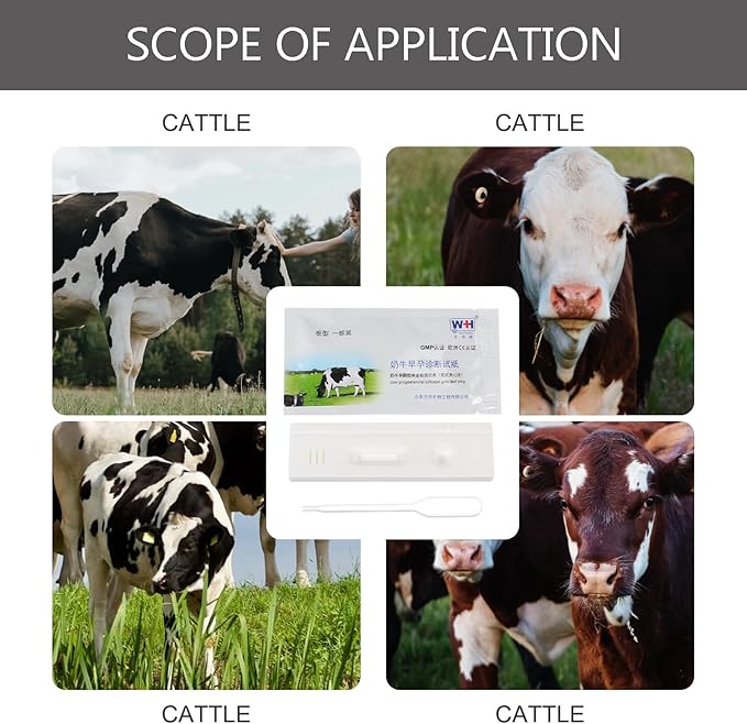 3 Pcs Pregnant Tester Livestock Testing Testing Tool Animal Pregnancy Test Tools Cattle High Precision Strips Cow Colloidal Test Paper Livestock Supply