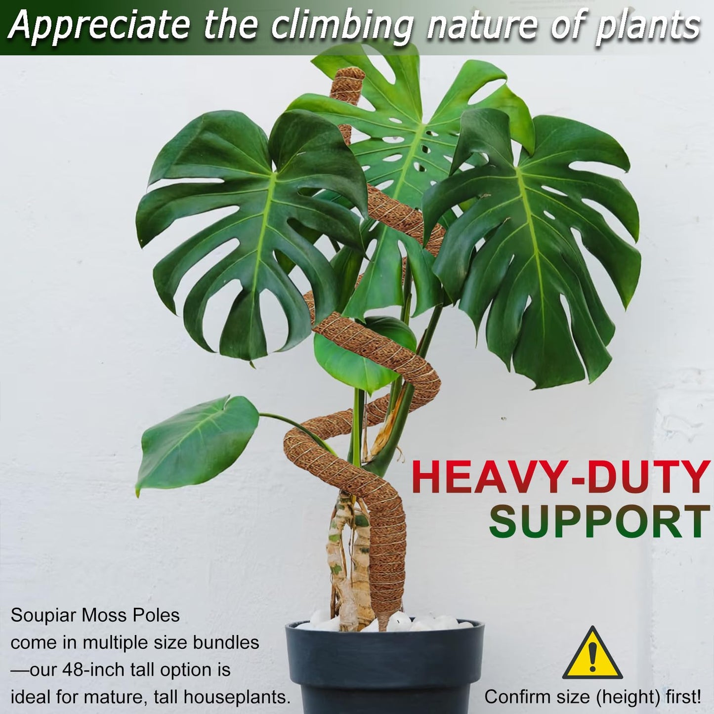 2 Pack 48'' Bendable Moss Pole for Monstera & Pothos - Tall Handmade Coco Coir Plant Support Stakes for Large Climbing Indoor Plants, Potted Houseplant Trellis Accessories