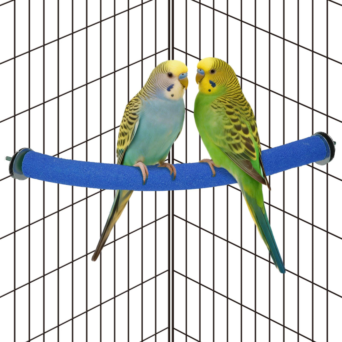 Rypet 90-Degree Parrot Perch for Cage Corner, Quartz Bird Perch (Green XL)