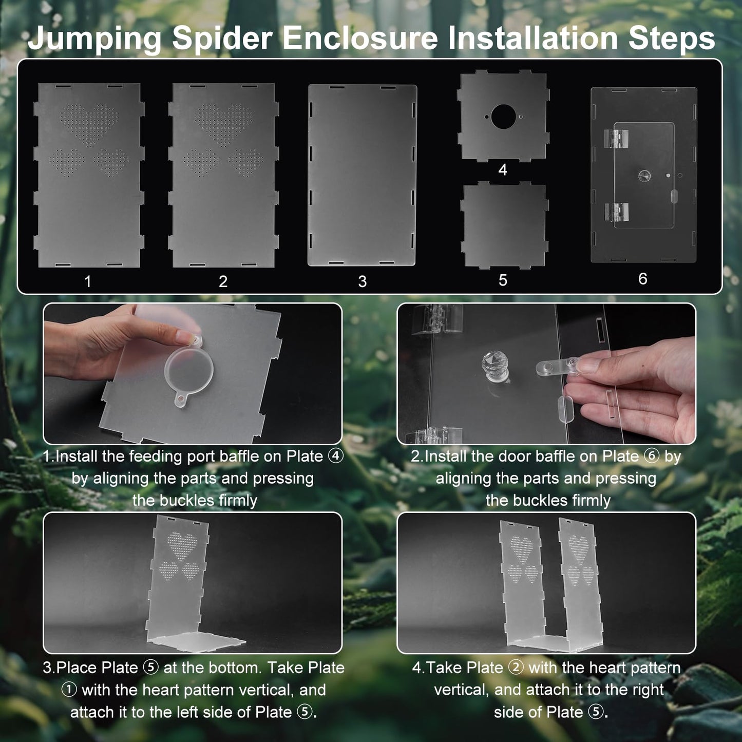 YPJXBEST Jumping Spider Enclosure,6x6x10 in Spider Enclosure Easy Assembly with DIY Jumping Spider Accessories Front Opening Bug Habitat with Feeding Port for Mantises,Spiders,Insects