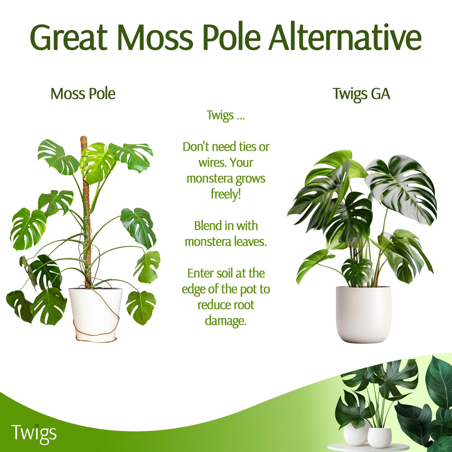 Twigs GA - Stackable Monstera Plant Support Stakes, Climbing Support for Indoor & Outdoor Use, Plant Accessories, Aesthetic Alternative to Moss Poles & Trellises – Monstera Green, 5 Pack, 17" L