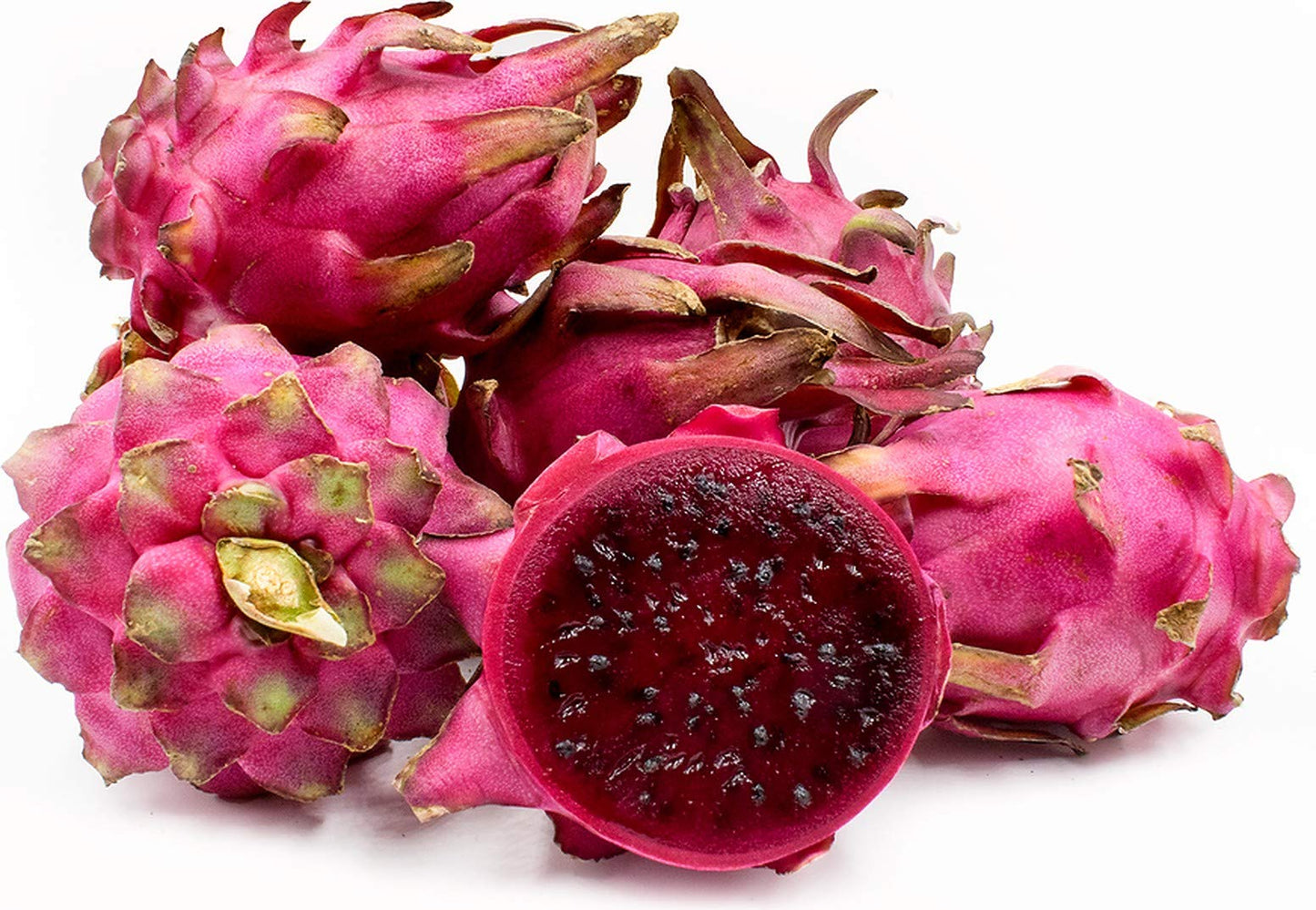 Generic 3 x Dragon Fruit Tree Cuttings 12" Long