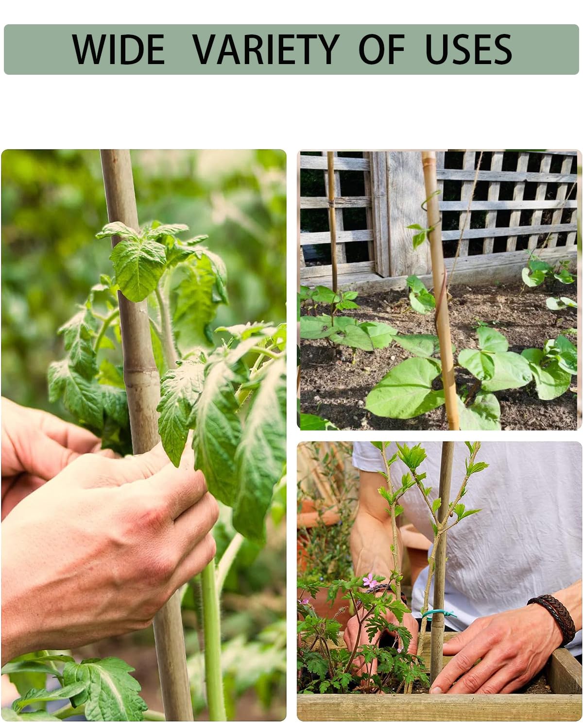 4 Ft Bamboo Stakes with 100 Twist Ties Natural Bamboo Garden Stakes for Tomatoes Cucumber Grapes Pole Beans Trees Potted Dahlia Flowers and Climbing Plants - Pack of 25