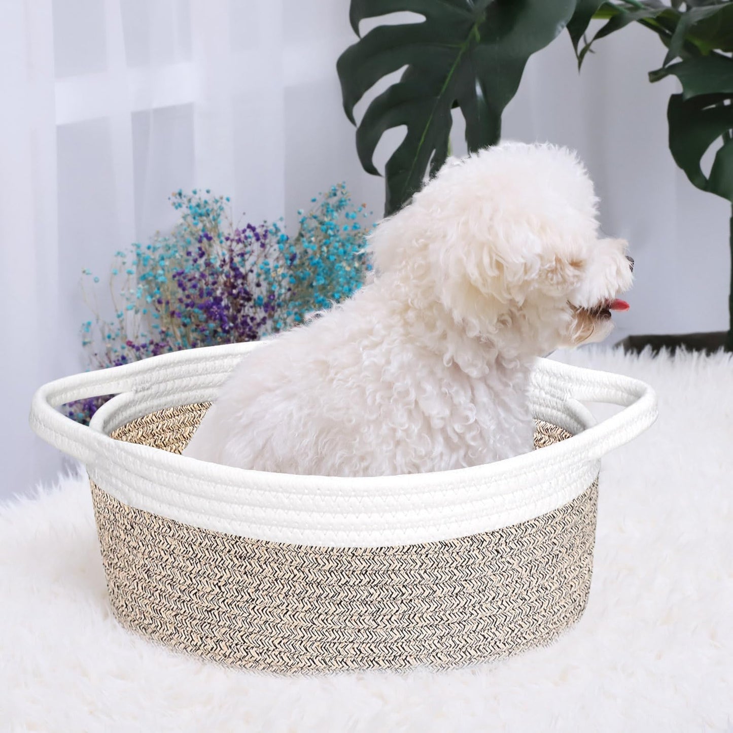 ABenkle Small Woven Basket, 12" x 8" x 5" - Cute Storage Basket with Handles for Room, Cat & Dog Toys, Gift Box