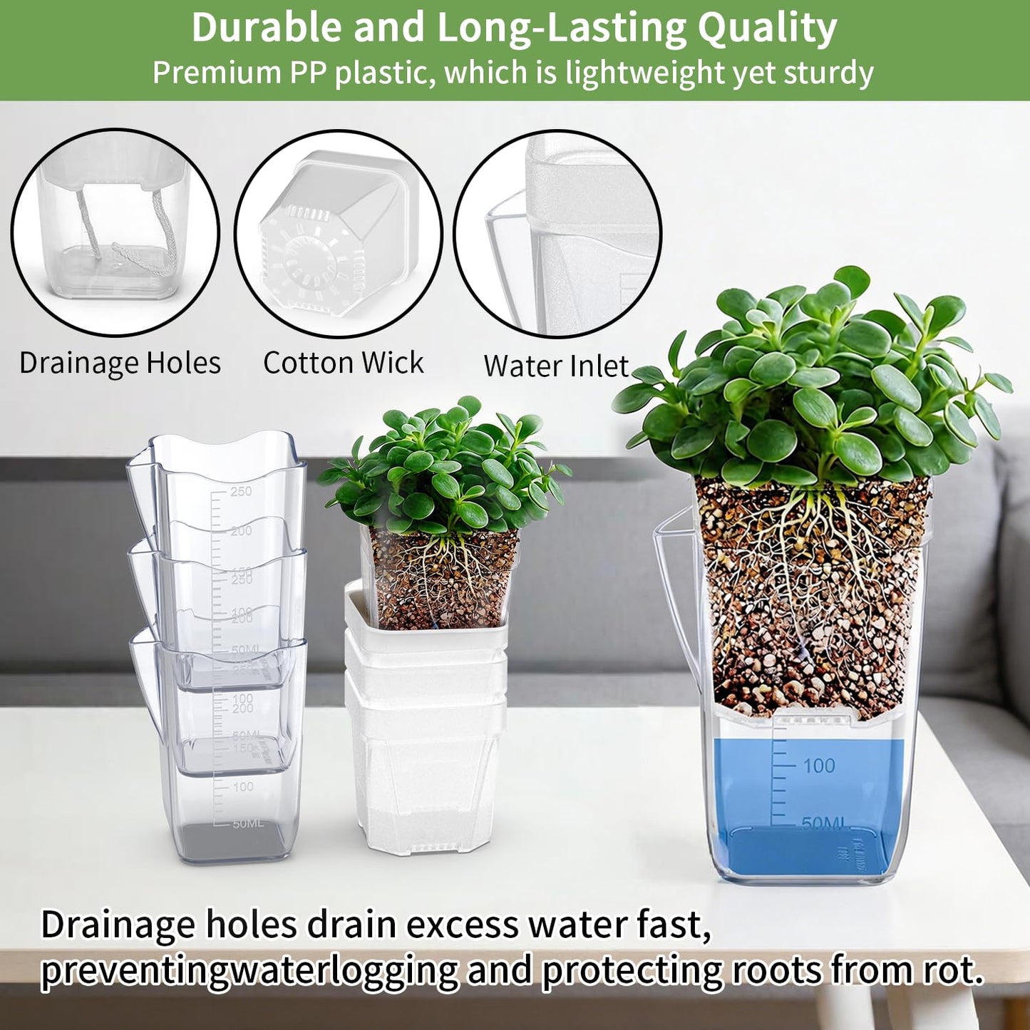 8 Pack Self Watering Pots with Transparent Double-Layer Design, 2.5" Small Plastic Planter for Indoor Plants, Semi-Hydro, Propagation, Flowers, Herbs - Includes 12 Plant Labels & Flower Stickers