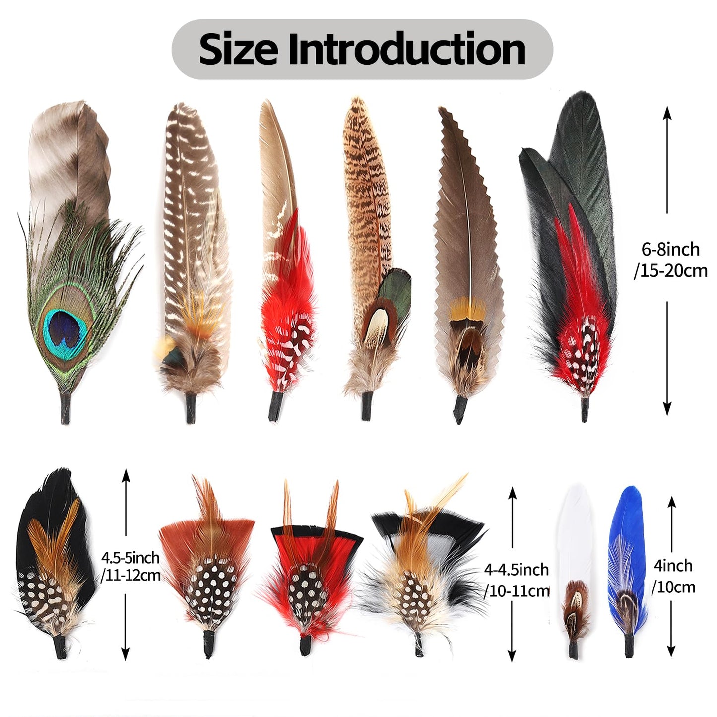 FeelfunFeather Hat Natural Peacock Feathers - 12PCS Colorful Real Feathers for DIY Fedora, Cowboy, Christmas Party, Oktoberfest, Trilby Hats