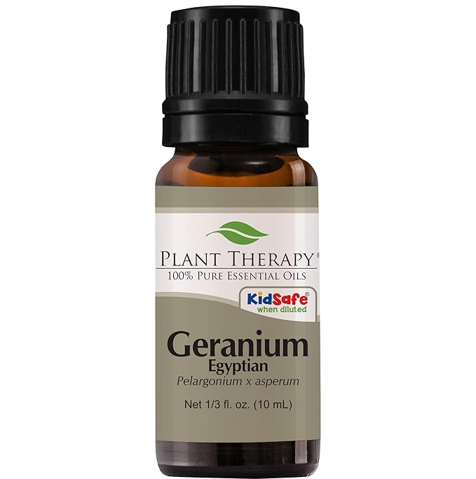 Plant Therapy Egyptian Geranium Essential Oil 100% Pure, Undiluted, Natural Aromatherapy, Therapeutic Grade 10 mL (1/3 oz)