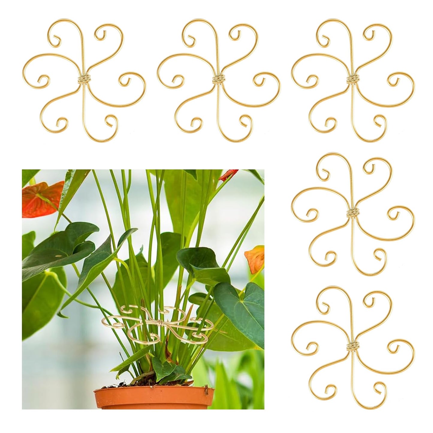 5 Pcs Plant Stem Support, Iron Monstera Plant Support, Durable Hook Stem Supports for Healthy Growth, Bamboo Clamp Set for Leaf Stabilization and Support, Ideal Present for Plant Lovers (5.5IN*5.5IN)