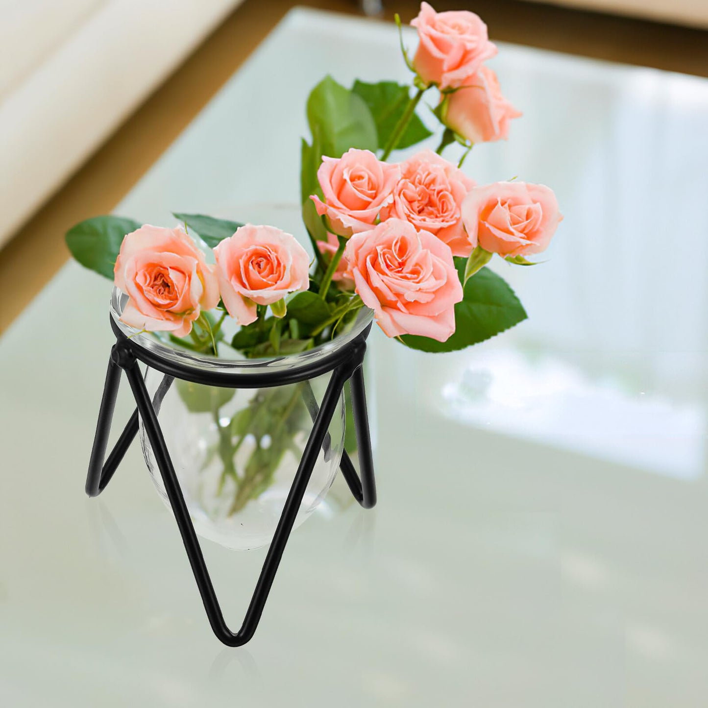 Ipetboom 6pcs Black Iron Art Hydroponic Glass Vases Small Terrarium Plant Holders for Home Decoration Desktop Water Containers