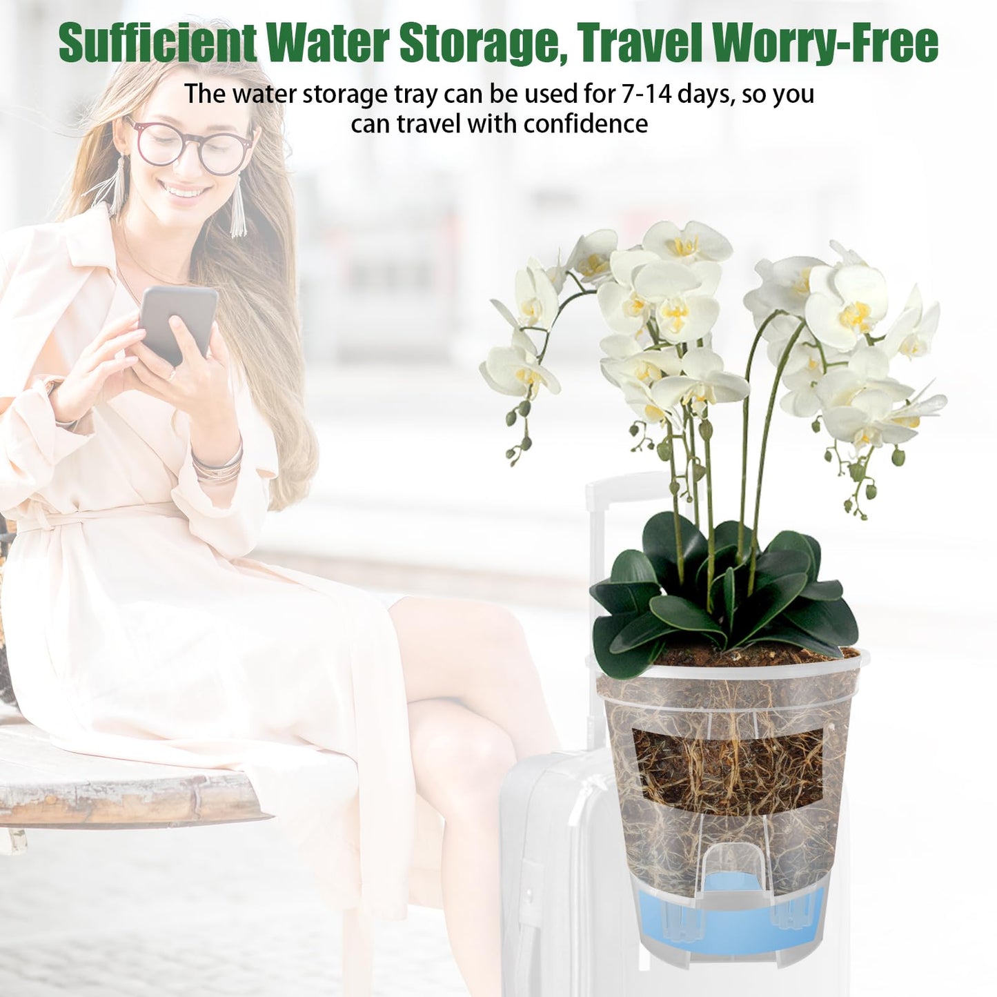 Cdd's Path 5-Pack 6 Inch Self Watering Naked Root Planter Pots with Drainage Holes & Reservoir, Plastic Planters with Air Pipes for Indoor Outdoor Plants，Clear