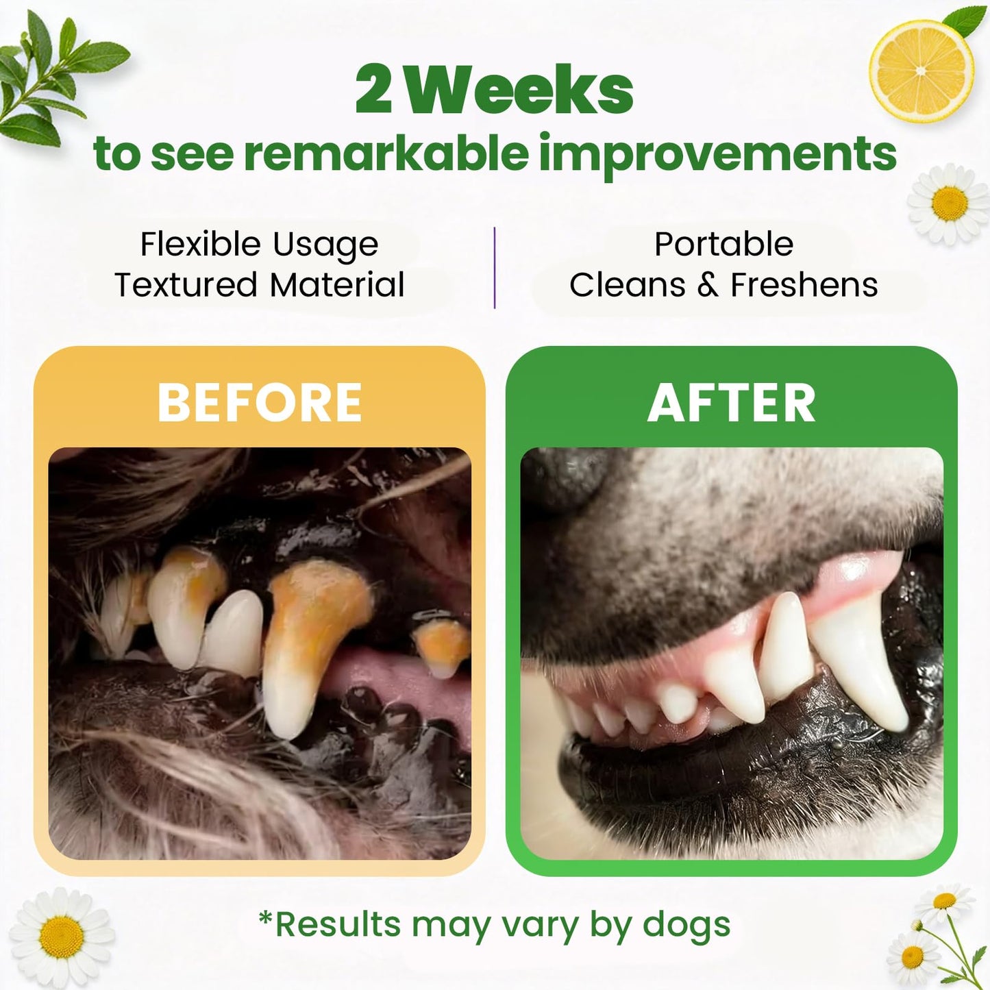 PHASORRA Dog & Cat Tooth Brushing kit - 60Ct Dog Toothbrush & Toothpaste Alternatives, Dental Care Wipes, Heavy Duty Teeth Cleaning, Remove Tartar & Plaque, Breath Freshener