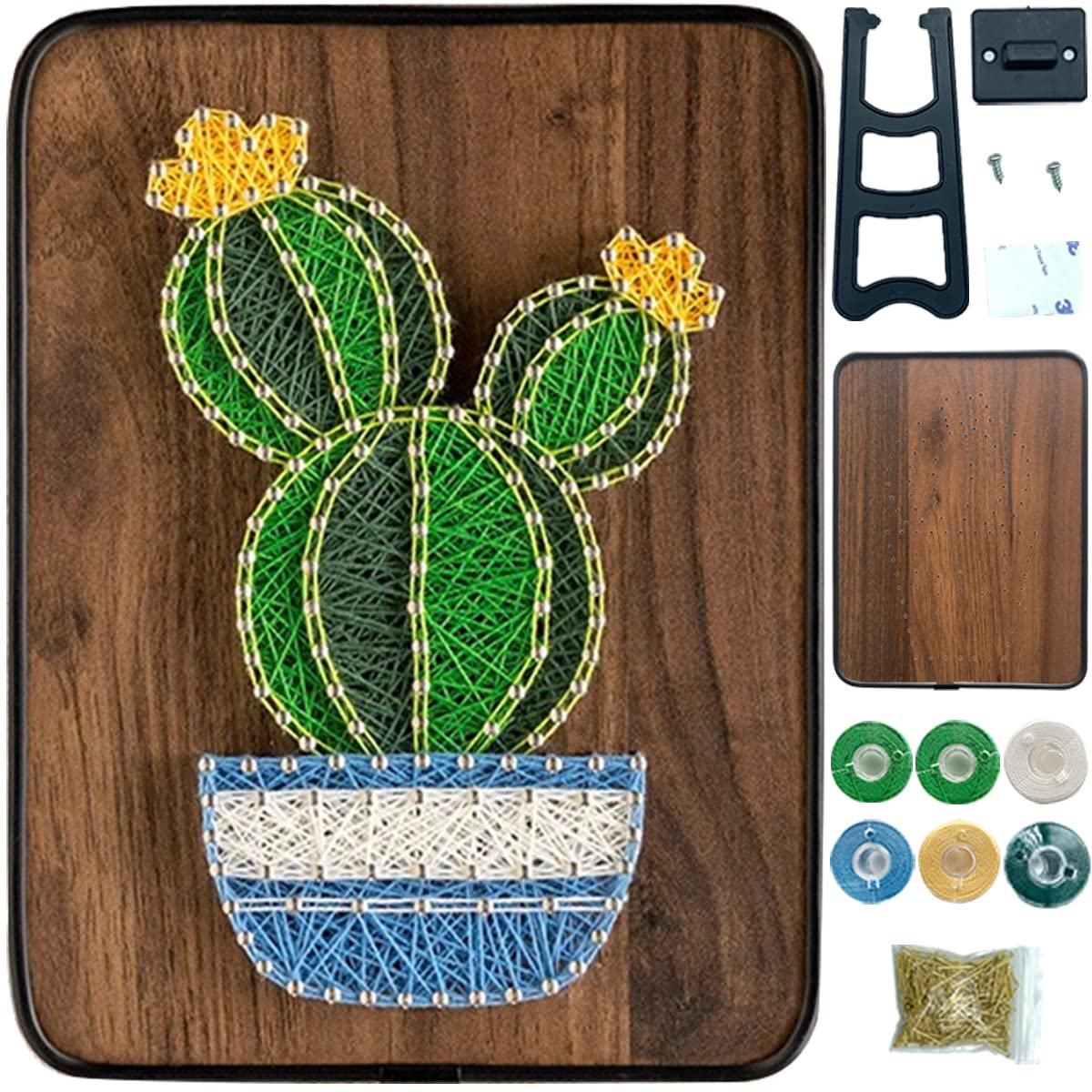 BAZIMA DIY String Art Kit for Beginner, DIY Cactus Potted Craft Kit,Unique Gift,Craft Kit for Holidays