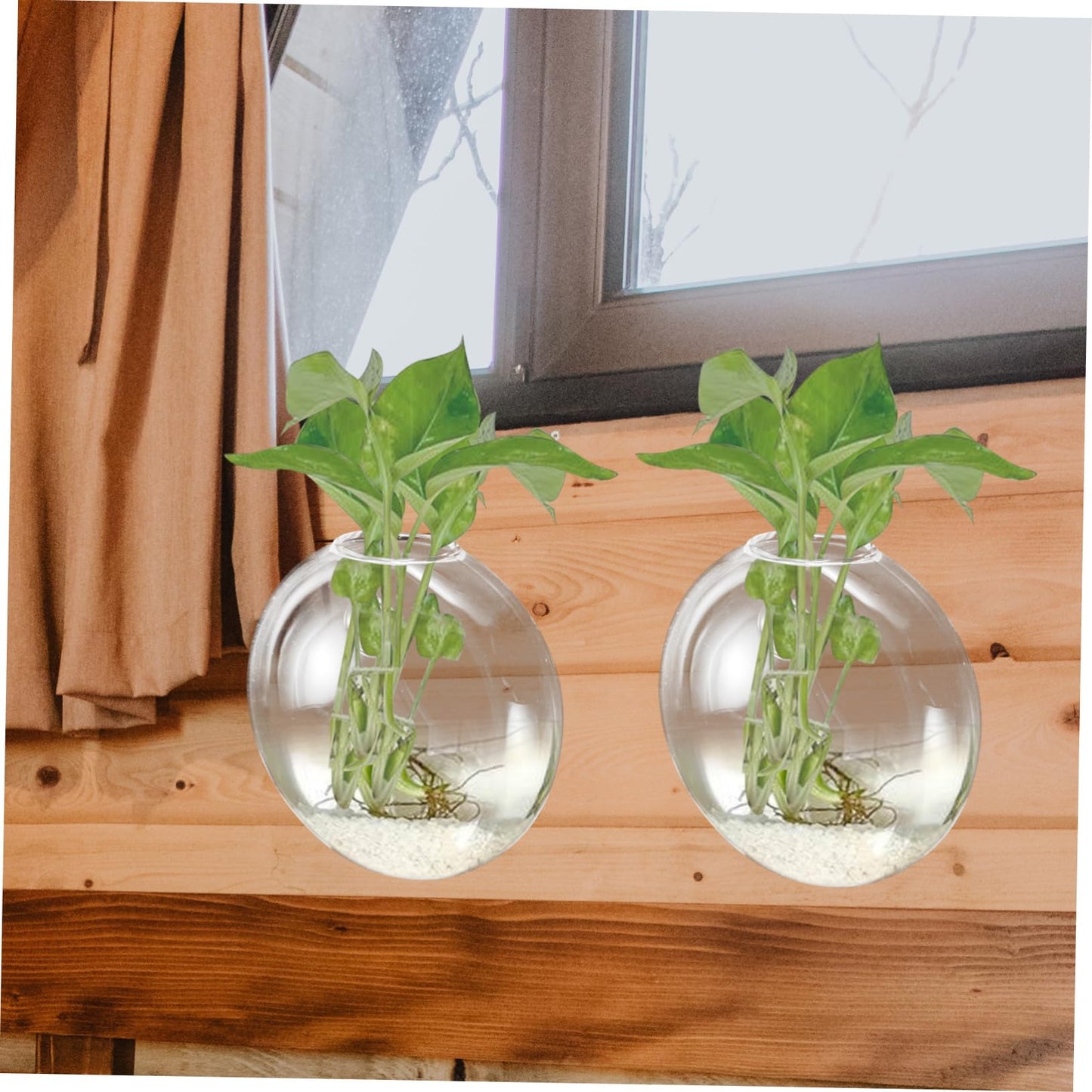 SOLUSTRE Wall Mounted Glass Vase for Hydroponics Plants Hanging Terrarium Planter for Indoor Decor for Propagation Station and Flower Display