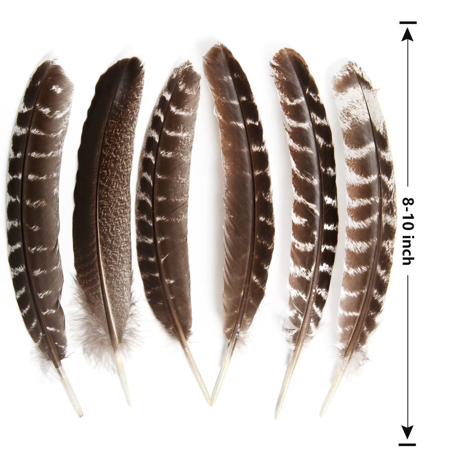 THARAHT 24pcs Natural Wild Turkey Wing Feathers Quill Bulk 8-10inch 20-25cm for DIY Crafts Project Collection Wedding Decoration Wild Turkey Tails Feather