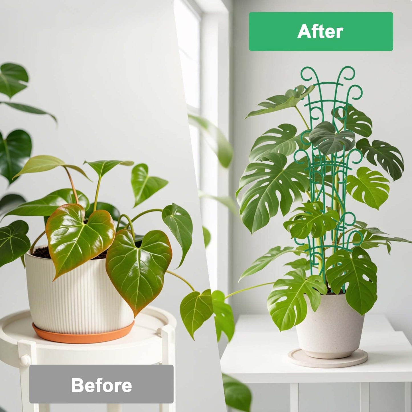 Qaobo Plant Trellis for Potted Plants 4 Pack Stackable Indoor Outdoor Climbing Houseplant Support with Garden Wire for Pothos Hoya Ivy Flower