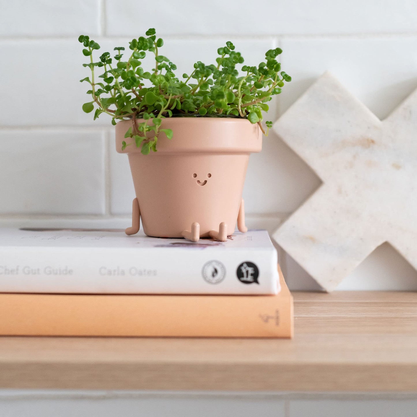 Cute Indoor Plant Pots Set of 3, Unique Plastic Succulent Pots for Plant Lovers (Plants NOT Included)