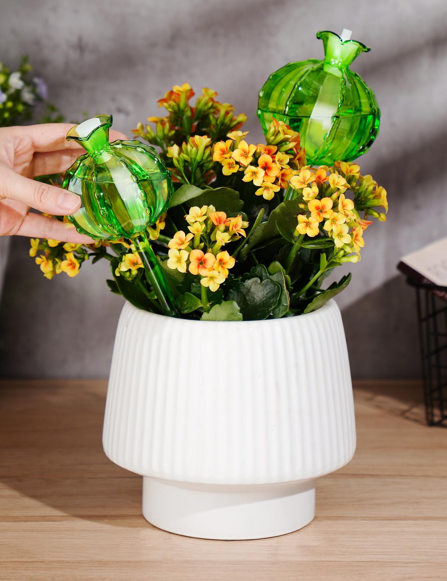 NiHome (2 Small + 2 Large) Plant Watering Globes 4-Pack, Glass Waterer for Potted Plants, Green Glass Cactus Self Watering Globe, Automatic Mini Irrigation System
