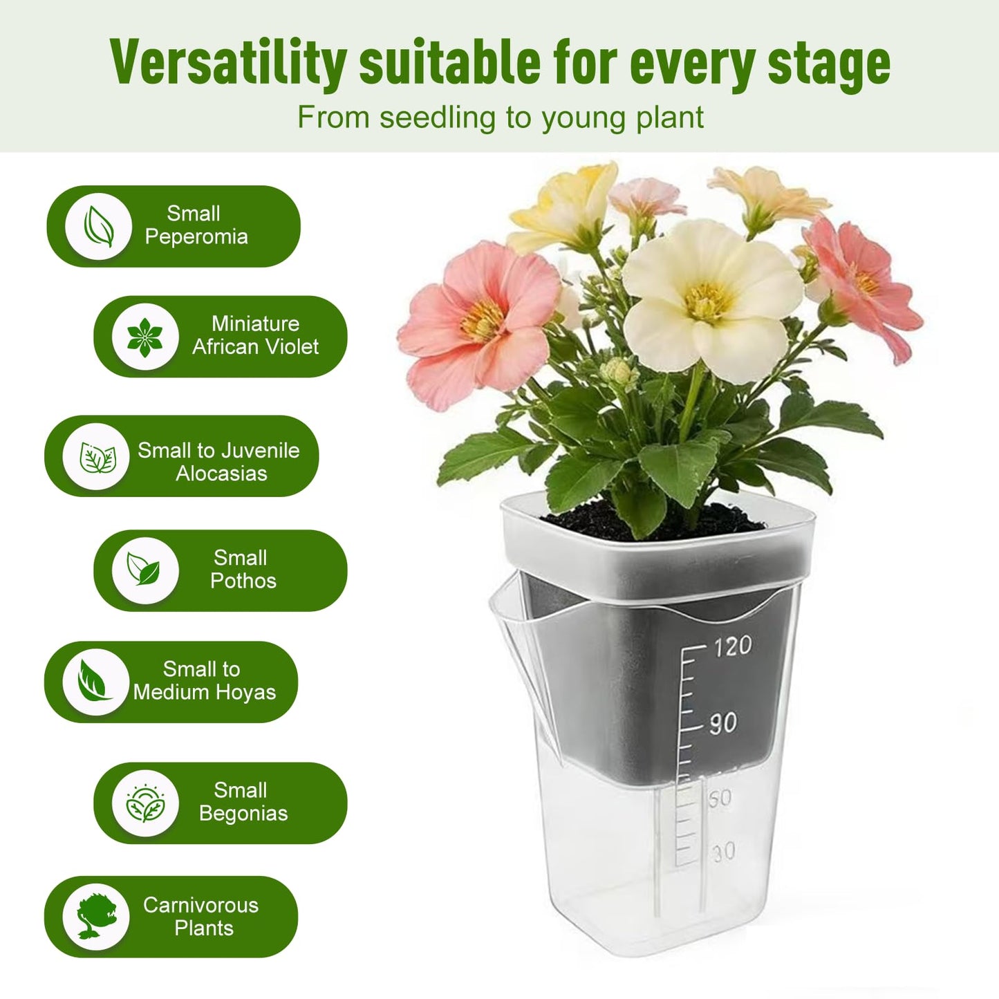 ckslkek 12 Pack 2.5 Inch Small Self Watering Pots for Indoor Plants with DIY Stickers, Clear Plastic Propagation Pots, Semi Hydroponic Pots for Leca PON, Includes 12 Plant Labels