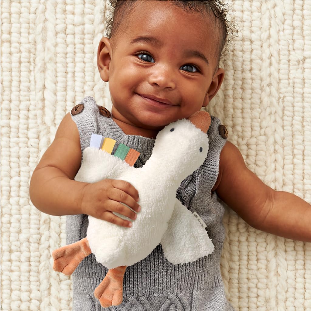 Itzy Ritzy Huggable Lovey – Soft Plush Baby Comfort Toy & Snuggle Companion with Sensory Ribbons - Machine Washable - Designed for Newborns & Toddlers (Goose)