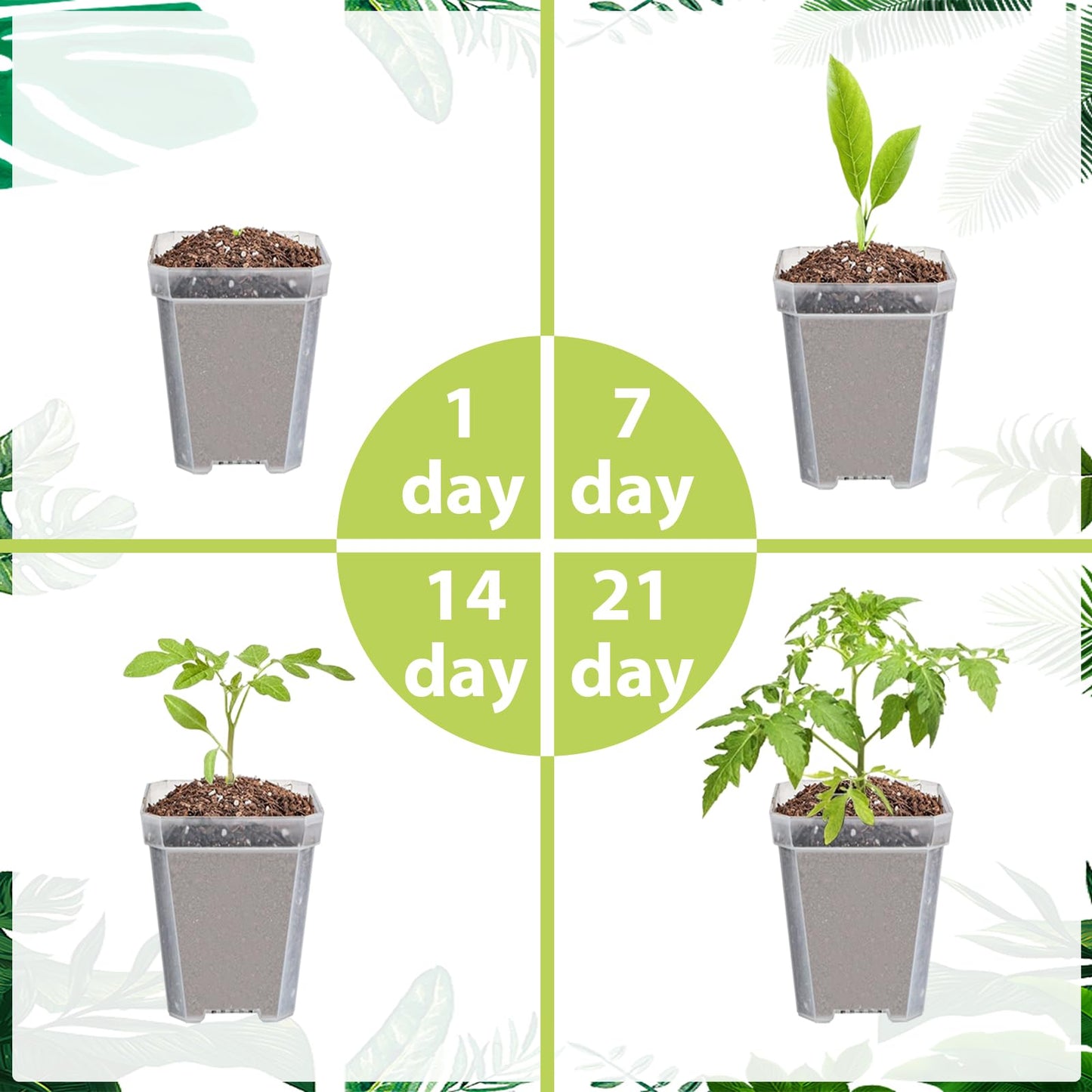 Hyuetrsa 30 Sets Plant Nursery Pots with Humidity Domes, 3" Plastic Gardening Pot with 30 Pcs Labels, Clear Seed Starting Pot Planter Containers with Drain Holes for Seedlings Vegetables Succulents