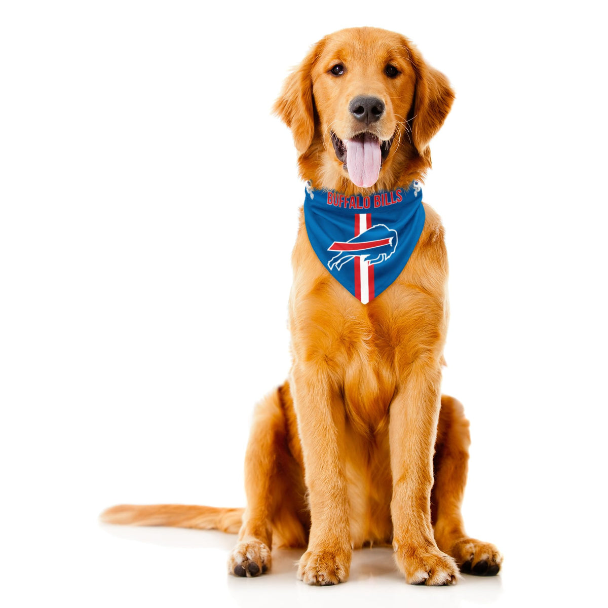 Littlearth NFL Seattle Seahawks Pet Bandana, Team Color, X-Small