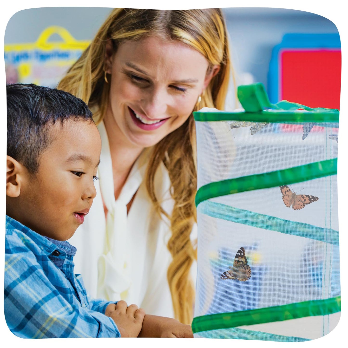 Insect Lore Raise and Release Butterfly Garden Kit – Caterpillar Habitat with redeemable Voucher – STEM-accredited Butterfly Growing Kit for Kids, Classrooms, and Homeschool Learning