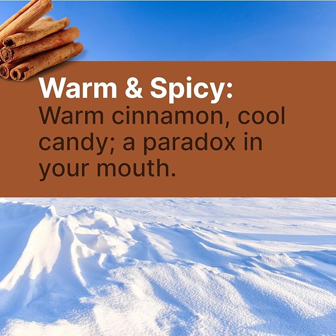 SNØ Cinnamon Xylitol Candy Chips | Oral Health Support | Pure Birch Xylitol | Sugar-Free, Low-Carb, Diabetic-Friendly | Vegan, Non-GMO, Gluten-Free, Kosher, Keto-friendly (1 LB Bag)