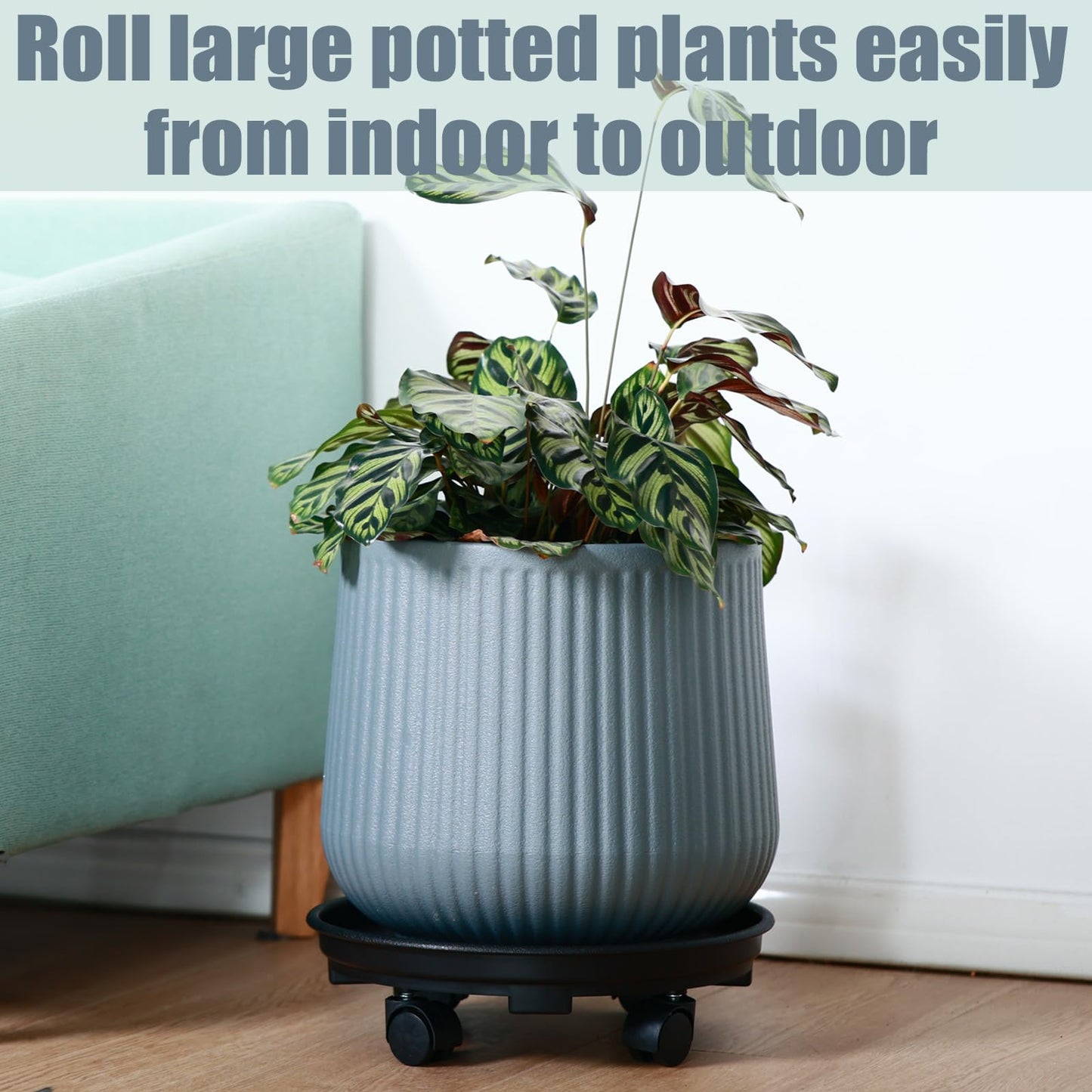 6 Packs 10.6 Inches Small Plant Caddy with Wheels Plant Saucers on Wheels Rolling Plant Stands Heavy-duty Plant Dolly Plastic Planter Roller Base Pot Movers Outdoor Plant Tray Coaster, Black
