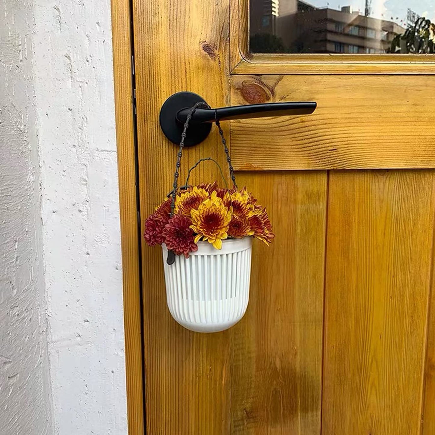 Succulent Tools and Plastic Succulent Pots