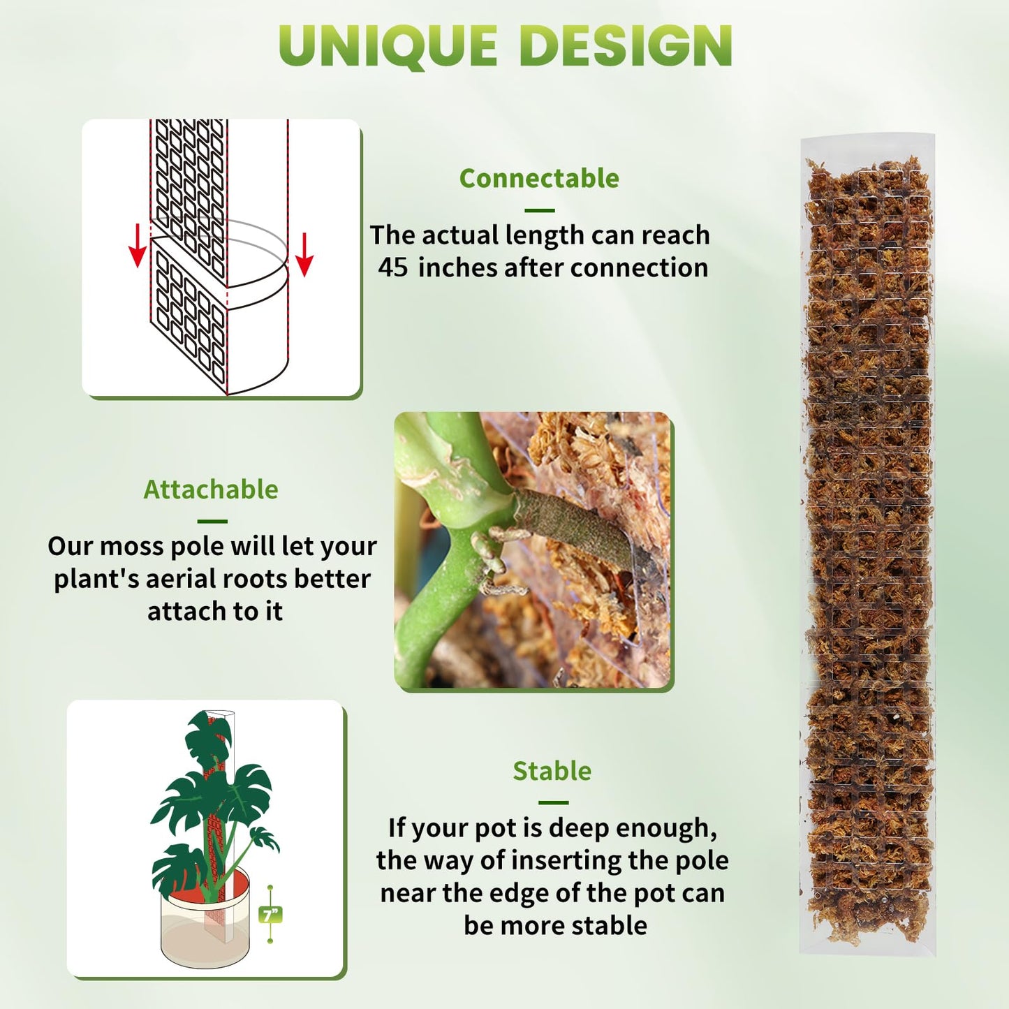 EOX 2 Pcs 24 Inch Plastic Moss Pole for Monstera, Large D Shaped Poles for Climbing Plants Work with Sphagnum Moss, 45 Inch Plant Stake Set of 2, Garden Ties