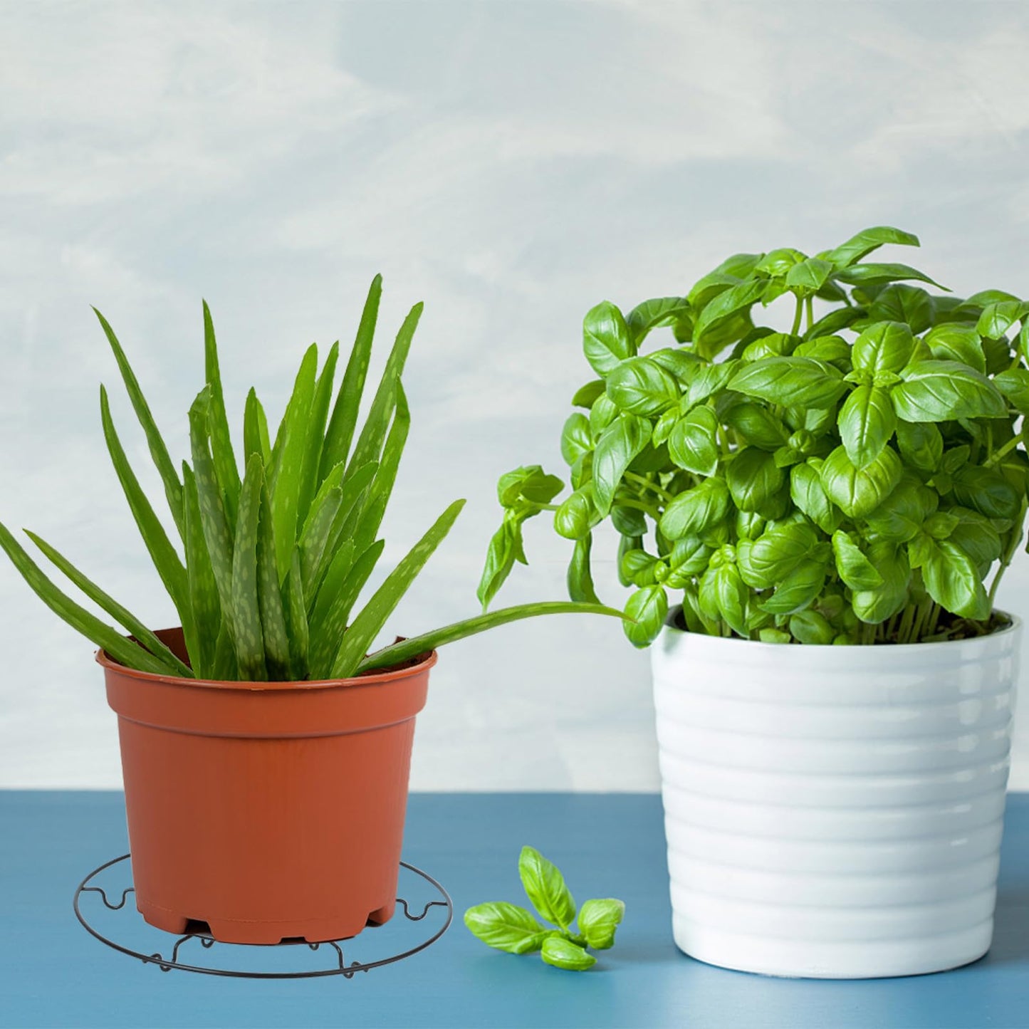 NULYLU 2pcs Black Iron Flowerpot Holder Plant Stand Floor Rack for Indoor Outdoor Use Stable Sturdy Green Plant Shelf with Modern Handmade Design Suitable for Balcony and Living