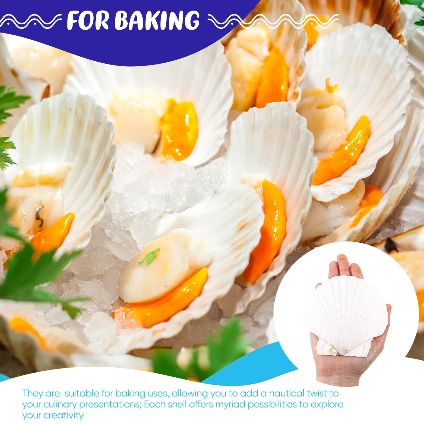 GlikCeil 50 Pcs Sea Shell for Crafting Natural Large Scallop White Oyster Shells Bulk for Decorating DIY Home Decor Beach Wedding Ocean Themed Party(3.5''-3.9'')