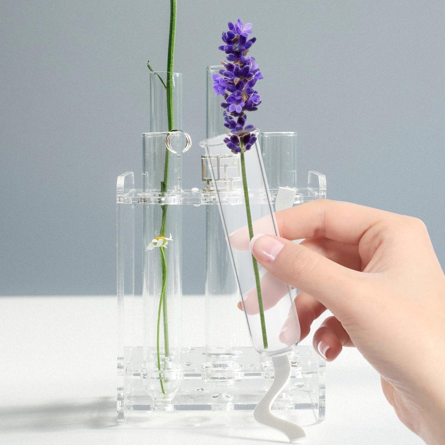Zerodeko 5pcs Glass Test Tube Vases Set 2.5x3x11cm Floral Water Tubes Hydroponic Propagation Station for Small Plant Terrariums and Home Décor