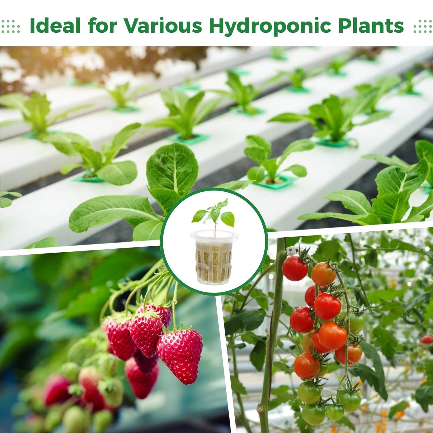 72 Rockwool Cubes & Net Pots Set, Hydroponic Kit, Stonewool Plugs with Net Cups, Hydroponics Starter Kit, Efficient Water Retention, Quick Germination for Seedling Growth