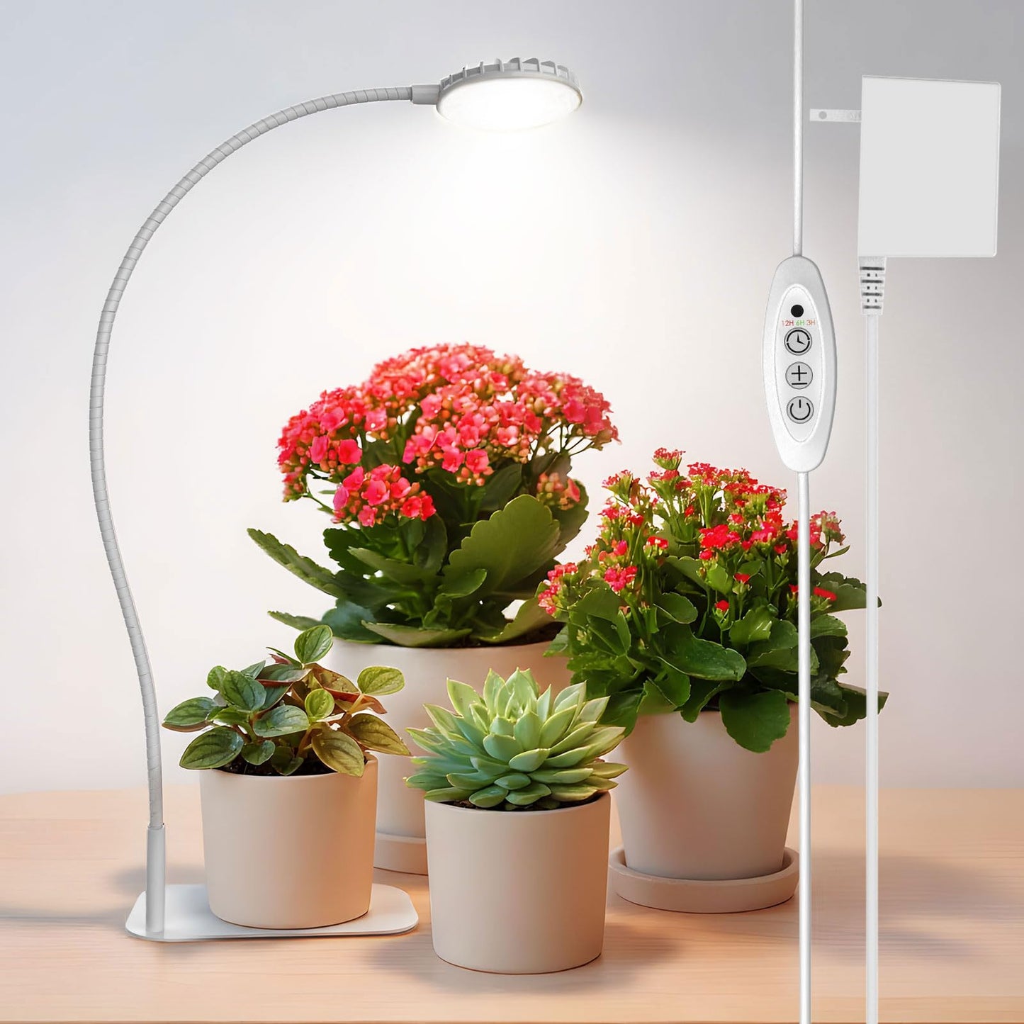 SGLEDs Desktop Indoor Plant Grow Light, 12W Full Spectrum,Plant lamp with 4 Dimmable & 3 Timer Modes, 360° Gooseneck Plant Lights for Office Desk Small Grow Lights for Indoor Plants(White)
