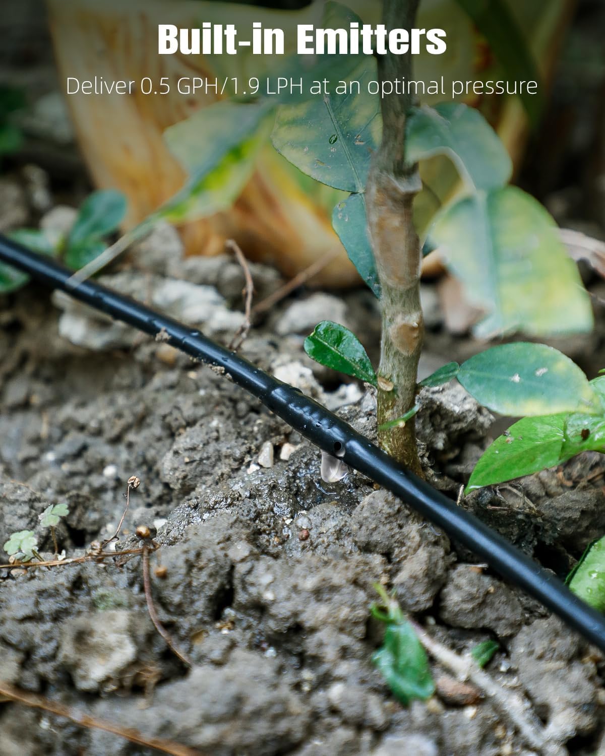 Pawfly 100 ft. 1/4" PE Irrigation Dripline Tubing, Black Polyethylene Distribution Line, Quick-Connect Compatible Drip Hose for Small Garden & Potted Plants
