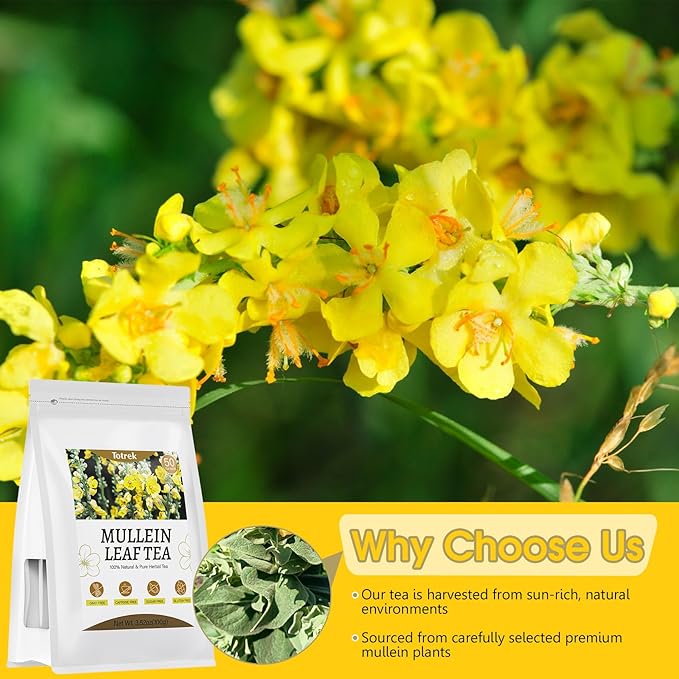 Mullein Leaf Tea Bags, 2g X 50 Bags, Organic Herbal Teas, Pure Mullein Leaves, Mullein Tea, Caffeine Free, Non-GMO, Caffeine-free