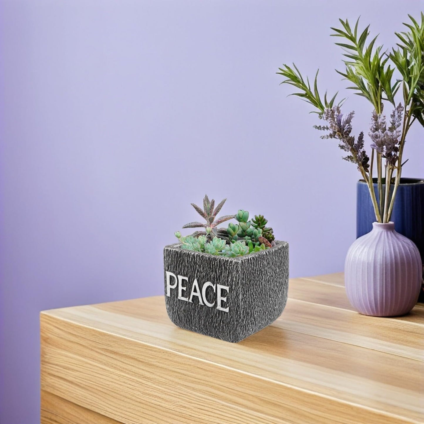 Kisangel Cement Succulent Planter Pot for Indoor Plants, Rustic Concrete Desktop Flower Pot with Dark Grey Finish, Decorative Garden Container Suitable for Office and Home Use