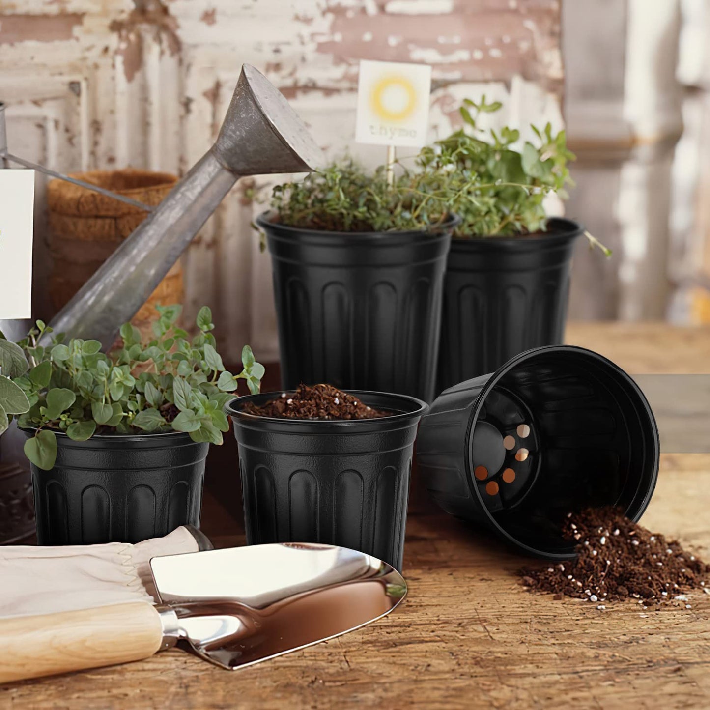 RAOOKIF 3 Gallon Pots for Plants, Flexible 1/2/3/5 Gallon Nursery Pot with Drainage, 3 Gallon Plastic Pots for Plants