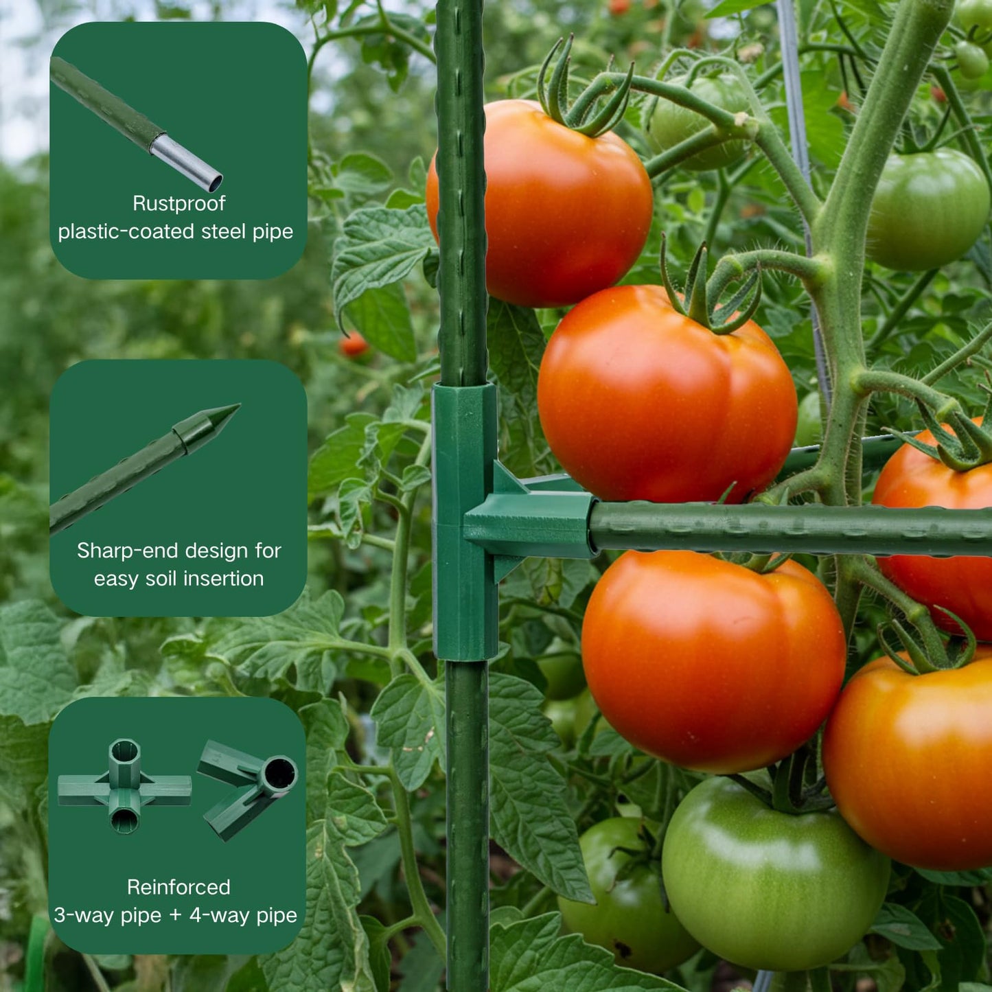 Wikdey Tomato Cages for Garden&Pots, 2 Pack 50" Plant Support Trellis for Tomatoes, Cucumbers, Beans | Heavy-Duty Steel with Rust-Proof Coating | Garden Stakes for Outdoor Indoor Plants