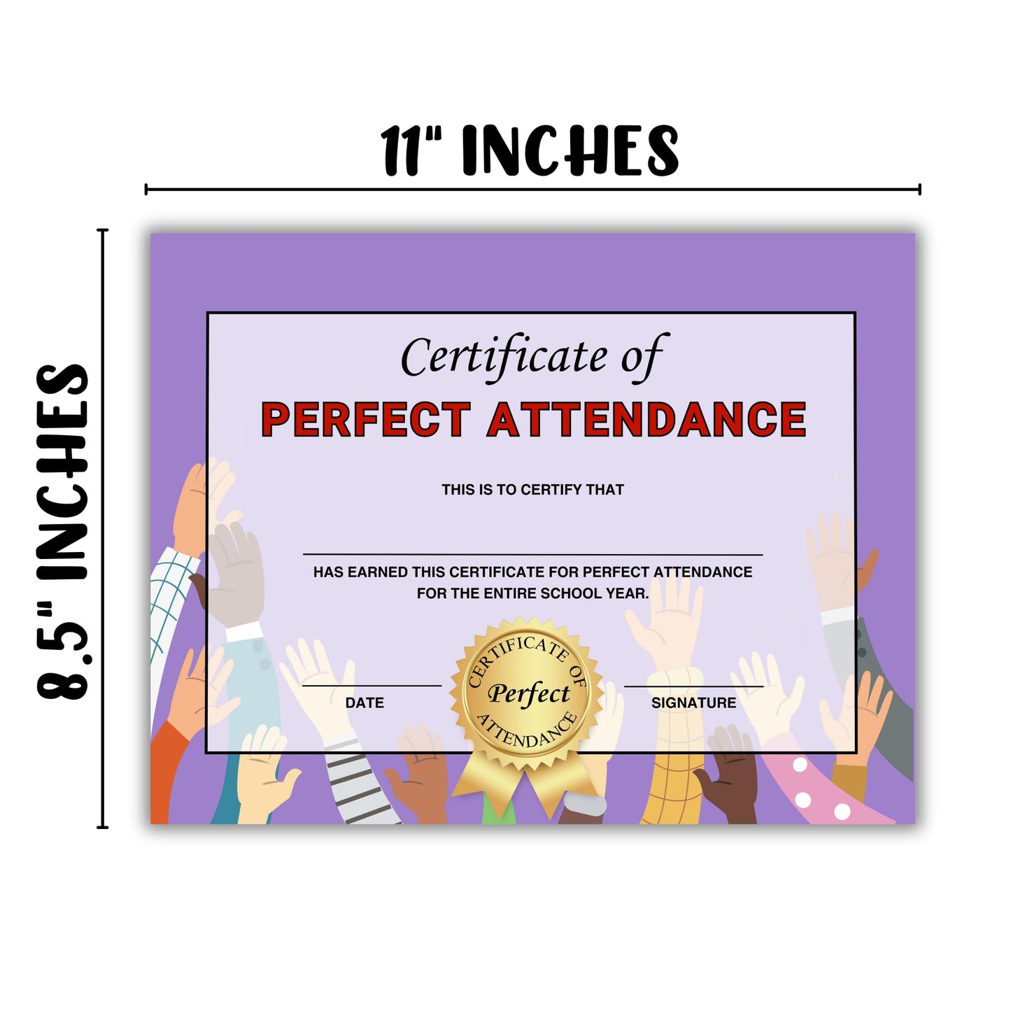 Perfect Attendance Certificate Award | 50 pk 8.5x11” Best Goal Participation Graduation Diploma Elementary Middle School Paper Superlatives