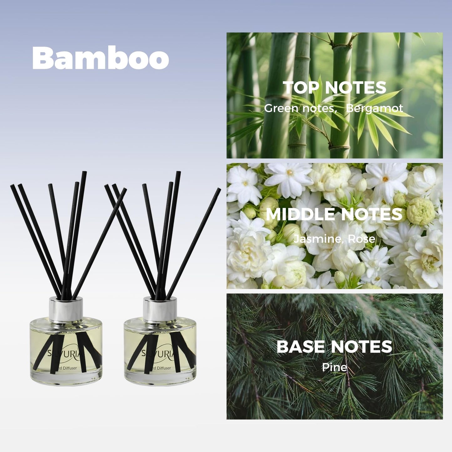 SILVURIA Reed Diffuser Set,2x100ml Bamboo Scented Oil Diffuser with 12 Reed Sticks,Long-Lasting Home & Office Fragrance for Living Room,Bedroom