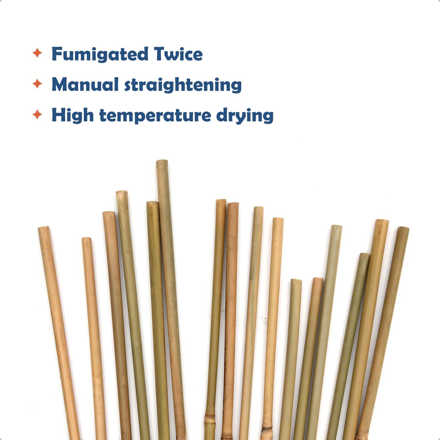 COLOtime Bamboo Stakes 58 Inch (Approx 5FT) Garden Stakes Plant Stakes for Outdoor Climbing Plants Poles Sticks Support Tomatoes 20 Pack