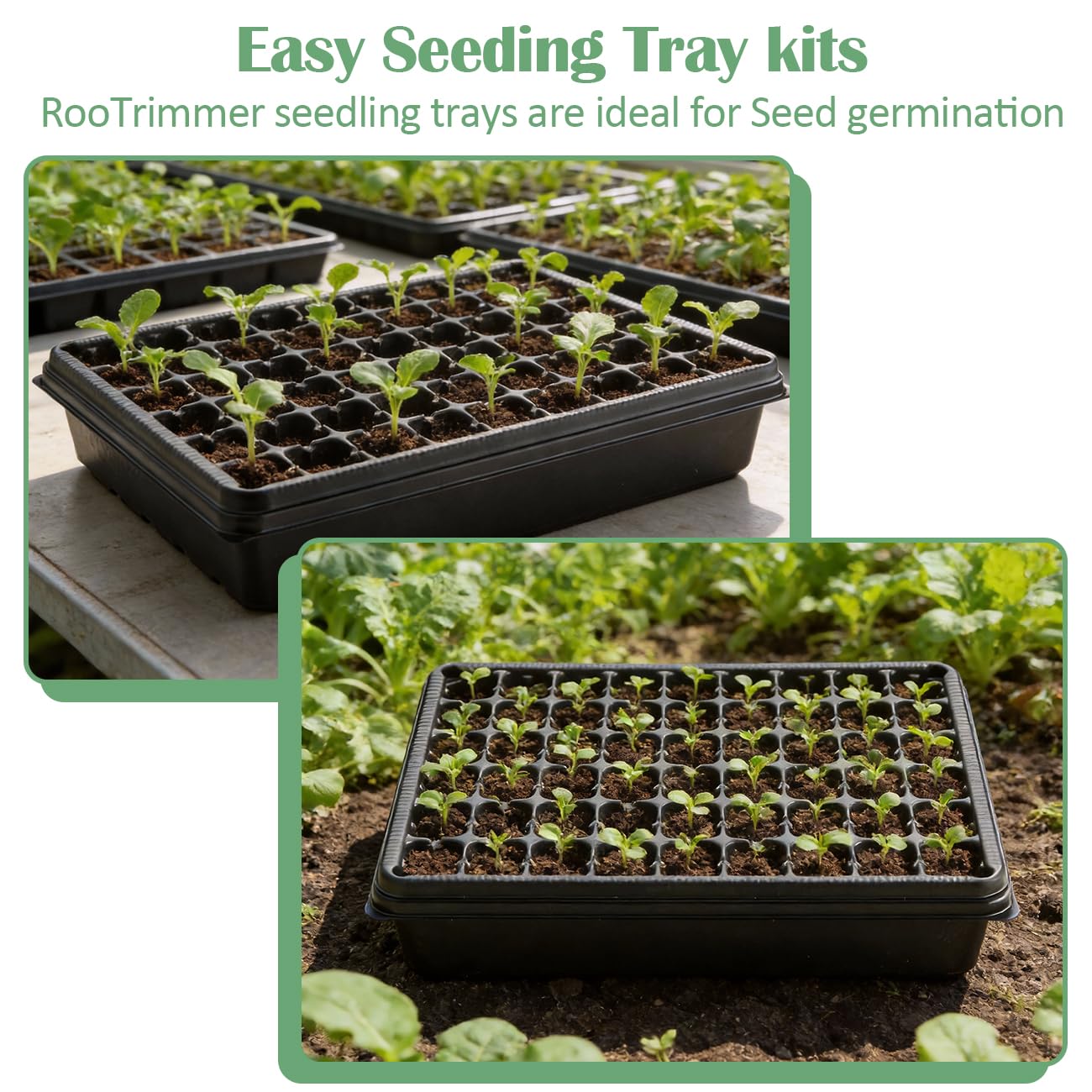 RooTrimmer 5 Pack Seedling Starter Trays No Holes and 5 Pack 54 Cell Seed Starter Trays Extra Deep 2.8" - Heavy Duty Plastic Nursery Trays for Seed Germination & Plant Propagation (5 Sets)