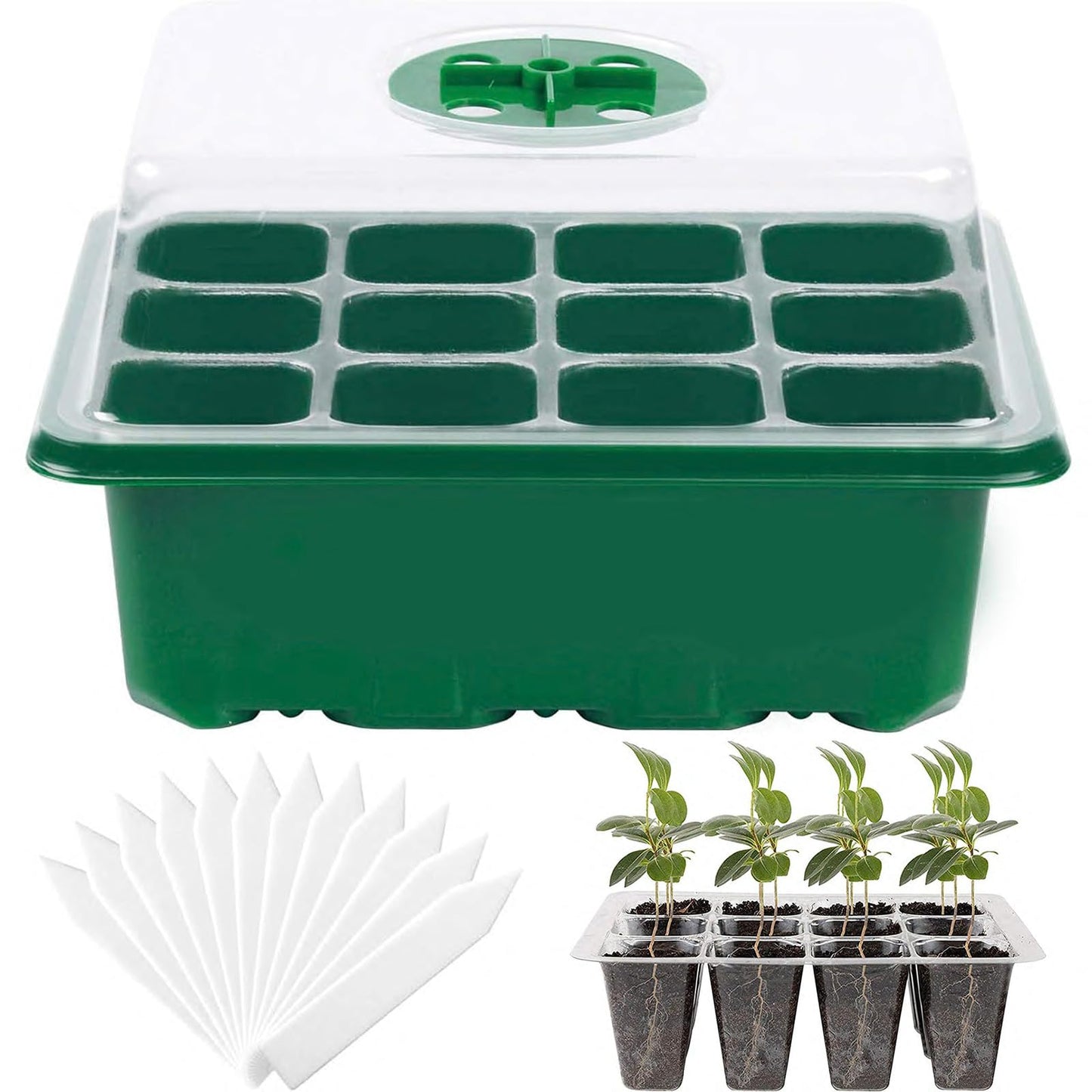 Hdeoops Seed Starter Tray, 12 Set Seedling Kits with Adjustable Humidity Dome, Plant Starter Kit for Seeds Growing Starting (12 Cells per Tray)