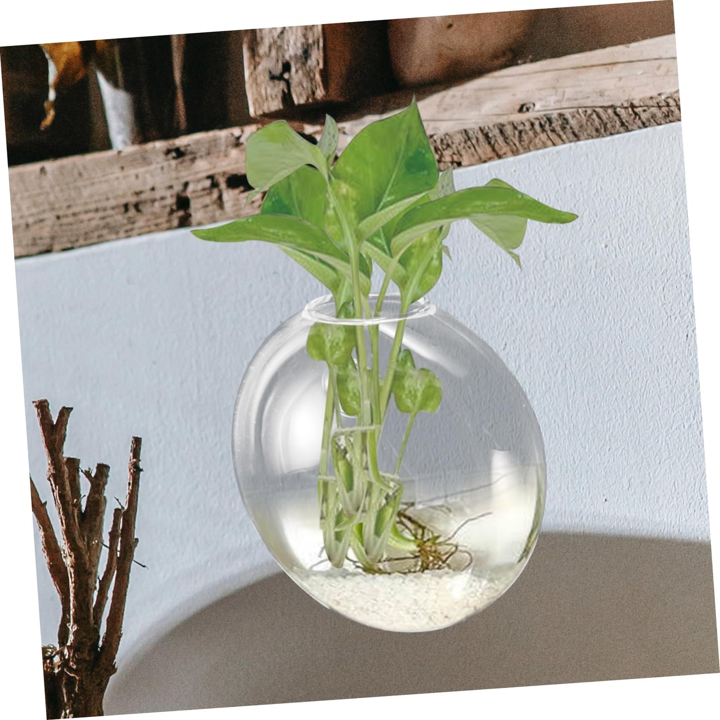 OUNONA Wall Hanging Hydroponic Glass Terrarium Planter Transparent Wall Flower Vase Space Saving Decorative Bottle for Small Apartments and Indoor Plants